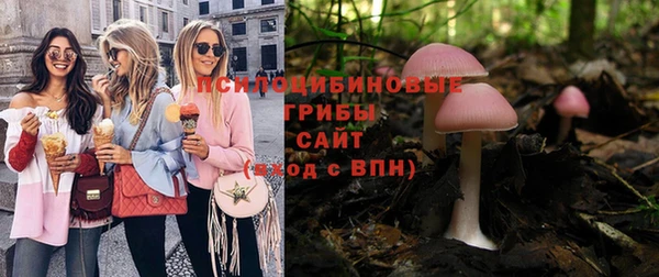 тгк Абинск