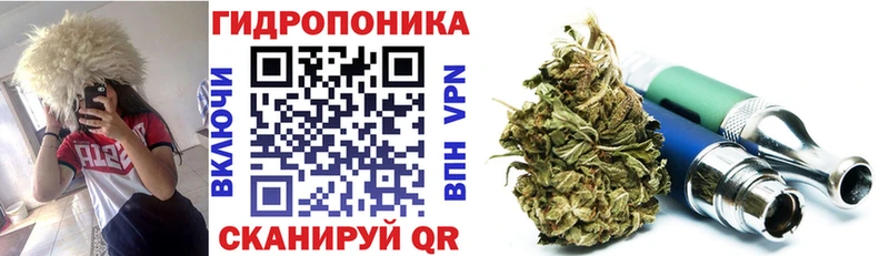 Канабис ГИДРОПОН  наркотики  блэк спрут ONION  Калининград 